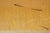 Wood Vintage Art Deco Theater Auditorium Seats For Sale - Image 7 of 12