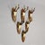 Rustic European Set of Six Roe Deer Trophies on Wooden Slices Germany Ca. 1950s For Sale - Image 3 of 8