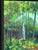 Impressionist Late 20th Century Original Vintage Impressionistic Painting of a Forest Path For Sale - Image 3 of 7