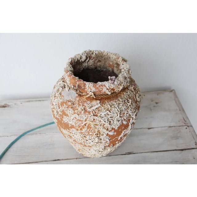 19th Century 19th Century Terracotta Octopus Trap Vase For Sale - Image 5 of 13