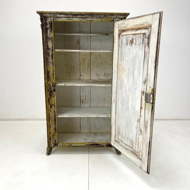 19th Century European Food Cabinet For Sale - Image 4 of 16