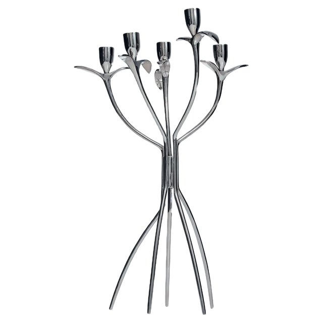 Italian Antonietta Candleholder by Borek Sipek for Driade, 1980s For Sale