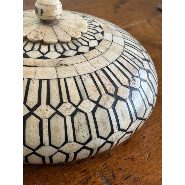 Maitland-Smith Bone & Horn Trinket Box - Tesselated Dome 9.5” For Sale - Image 9 of 10