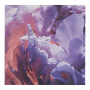 Backlit Purple Flowers, Jonathan Singer