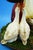 Arturo Pannunzio, Sculpture of a Girl with Geese, 1920s, Ceramic For Sale - Image 16 of 18