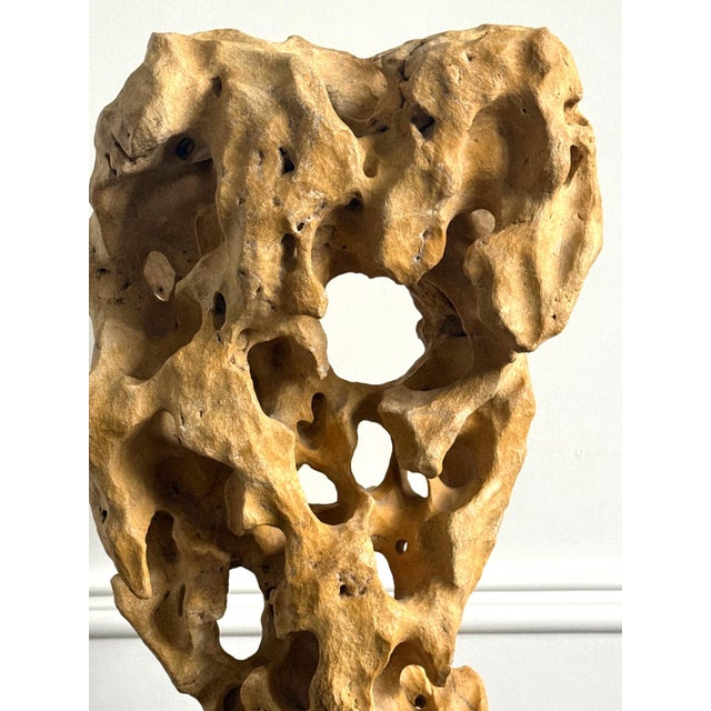 Extraordinary Large Chinese Scholar Rock Yellow Taihu Stone on Wood Stand For Sale - Image 13 of 18
