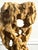 Extraordinary Large Chinese Scholar Rock Yellow Taihu Stone on Wood Stand For Sale - Image 13 of 18
