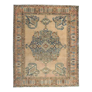 Vintage Persian Bakhtiari Rug - 09'10 X 12'04