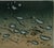 Hiroshi Asada, Zen, Gouttes d'eau sur le sable, Etching For Sale - Image 5 of 8
