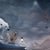 Shelter - Spirit of the Whale by Marcin Owczarek | Photography of a whale with various animals on its back For Sale - Image 4 of 5