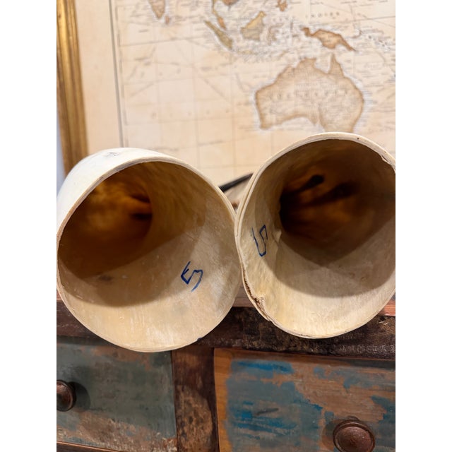 Large Vintage Ankole Watusi Horn Pair – 28.5” Ugandan Cattle Horns – Sculptural Global Decor For Sale - Image 4 of 7