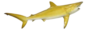 Vintage PFlueger Large Fiberglass Mako Shark Replica Wall Mount Display