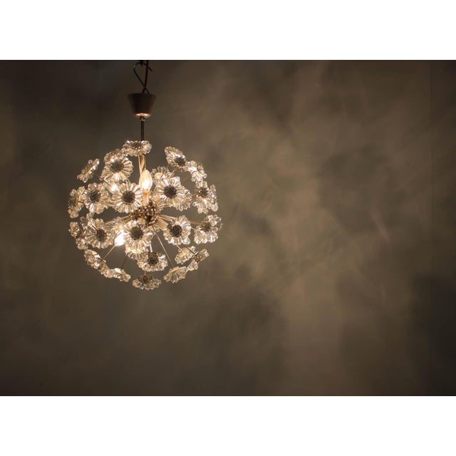 Dandelion Chandelier from Preciosa, 1970s For Sale - Image 8 of 13