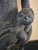 Black Baule Female Maternity Figure. 20th Century For Sale - Image 8 of 12