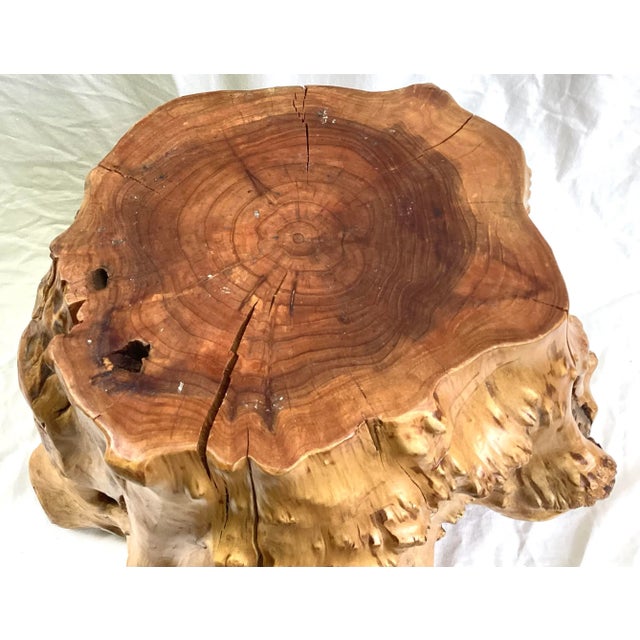 1980s 1980s Vintage Cabin Tree Root Trunk Stool For Sale - Image 5 of 9