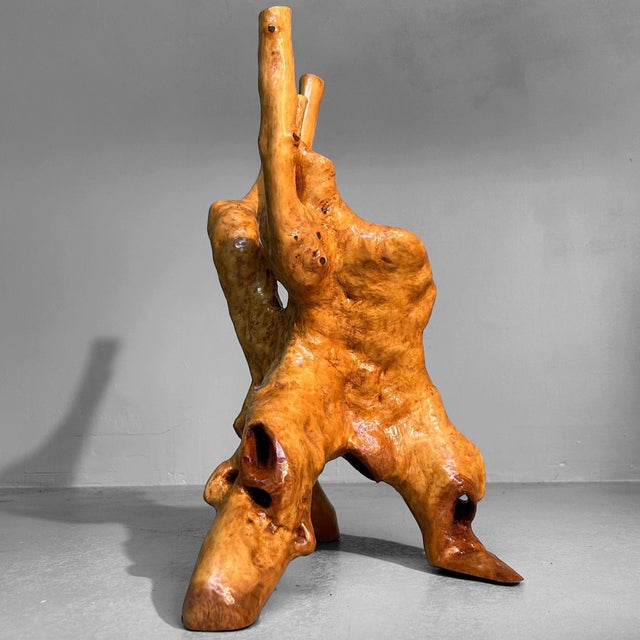 1920s Japanese Wabi-Sabi Ikebana Tsuge Burl Wood Sculpture, 1920s For Sale - Image 5 of 10