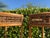 Late 20th Century Vintage Tall Palm Beach Coastal Woven Rattan Corner Étagères, Pair For Sale - Image 5 of 12