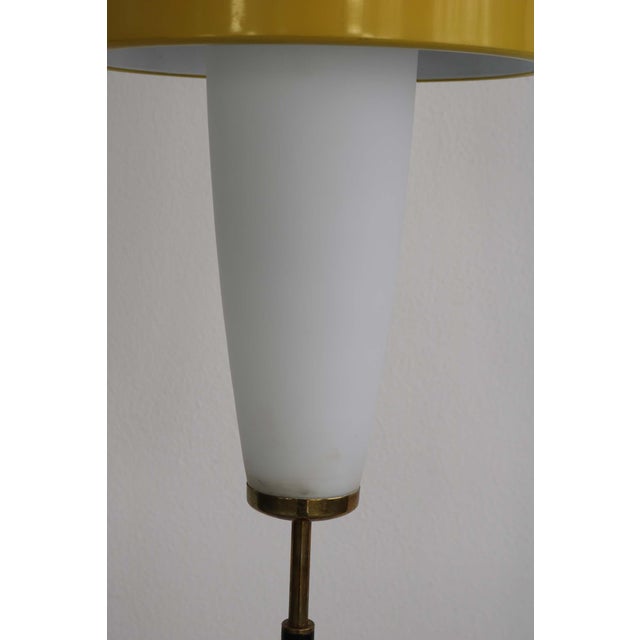 Model 6005 Floor Lamp by Angelo Brotto for Stilnovo, Italy, 1960s For Sale - Image 13 of 18