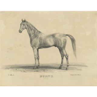 August Jäger, Burnu, 1846, Lithograph For Sale