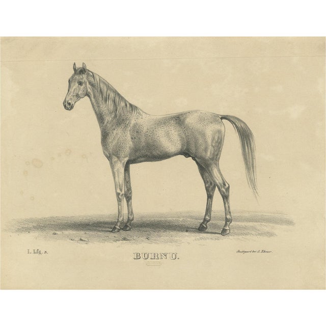 August Jäger, Burnu, 1846, Lithograph For Sale