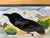 “Companero De Caballos” a Raven and Horse Painting by LWren Walraven For Sale - Image 11 of 11