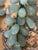 Great Pair of Large Vintage Jadeite Jade Grape Clusters For Sale - Image 4 of 8