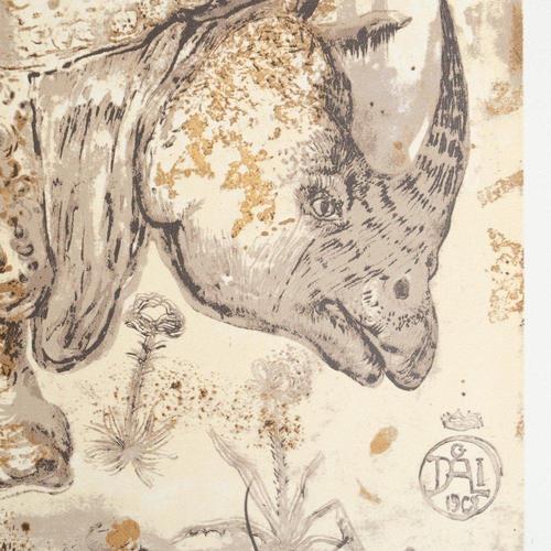 Limited Edition Unframed Homage to Albrecht Dürer Poster after Salvador Dalí, 1970s For Sale - Image 6 of 10