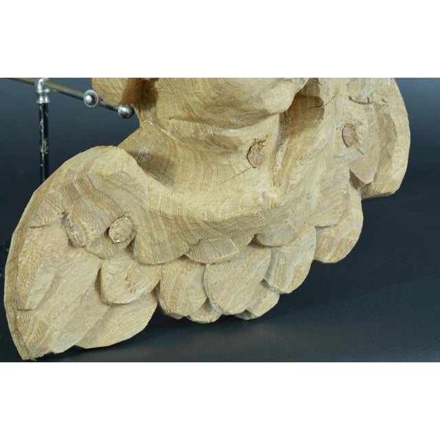 17thc Italian XL Heavy Antique Renaissance Grimacing Angel Carved Wood Sculpture For Sale In Miami - Image 6 of 12