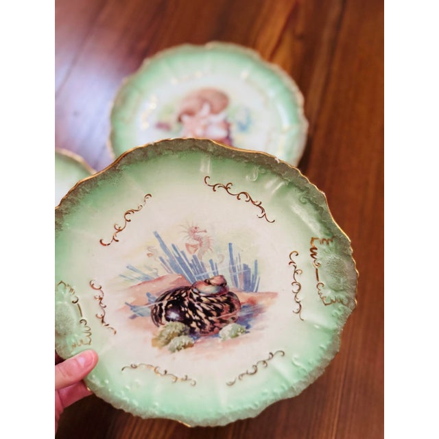 Set of Three! Limoge Style Antique Plates Made in the Usa by East Liverpool Potteries. For Sale - Image 4 of 6