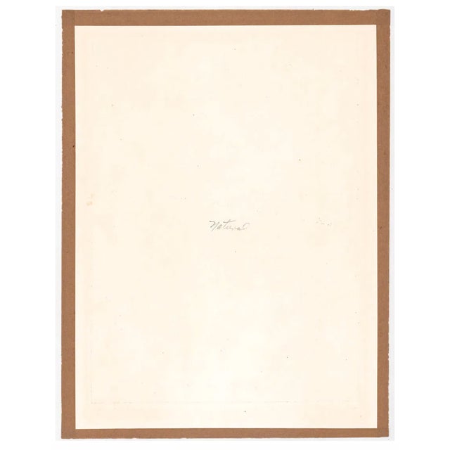 Mid-Century Modern 1967 Jack Bilander Garden Ode Etching For Sale - Image 3 of 3