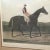19th Century Equestrian Derby Race Silvio Horse Jockey Engraving Print Art For Sale - Image 12 of 13