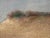 J. Joacem, Sandy Landscape, 1938, Framed For Sale - Image 9 of 18
