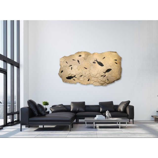 Immerse yourself in the timeless beauty of natural history with our exquisite collection of luxury fossil art. Showcasing...