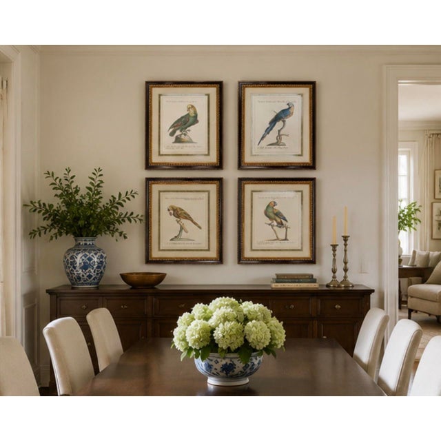 Set of 4 Vintage Continental Style Framed Natural History Prints For Sale - Image 9 of 12