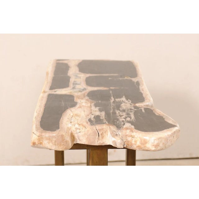 Petrified Wood Console Table with Modern Metal Base For Sale - Image 10 of 12
