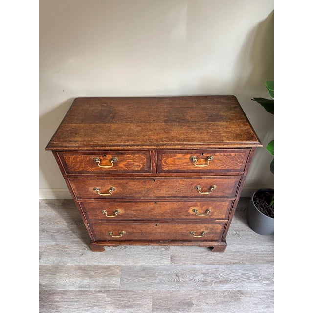 Brown Georgian Chest of Drawers in Oak with Metal Handles For Sale - Image 8 of 18
