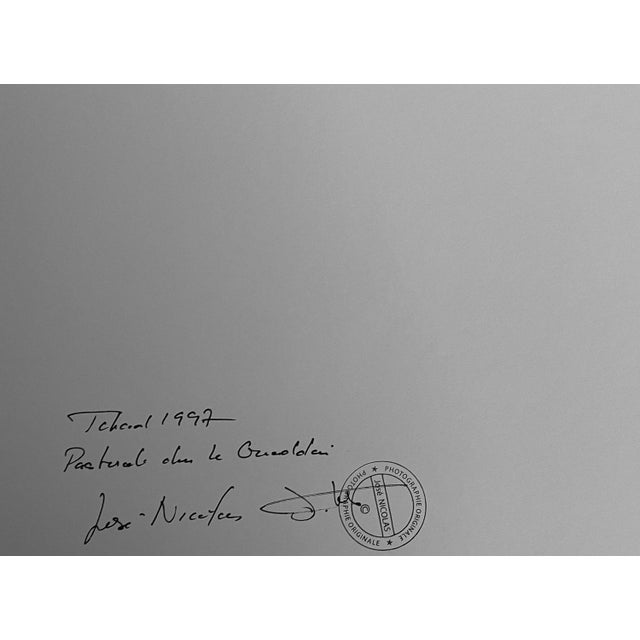 José Nicolas, Pastoral in the Oueddei, 1987, Digital Print For Sale - Image 4 of 5