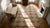 Light Gray 1880s Gray Geometric Antique French Needlepoint Rug 7'4" X 12'4" Flatweave Silk Carpet For Sale - Image 8 of 9