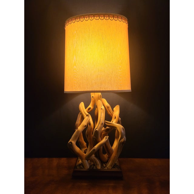 Massive Mid-Century Driftwood Lamp, Organic Modern, 1950s–60s For Sale In Washington DC - Image 6 of 9