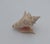 Vintage Queen Conch or Knobbed Triton Shell, Coastal Accent For Sale In Santa Fe - Image 6 of 7