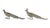 Early 20th century French silver metal pheasant table ornaments, an original male and female pair. Finely cast with...