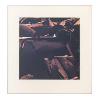 Anne Sager "Arrangement in Brown & Black" C-Print For Sale