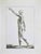 Paolo Mascagni, Anatomy, Plate 5, Etching, 1810 For Sale