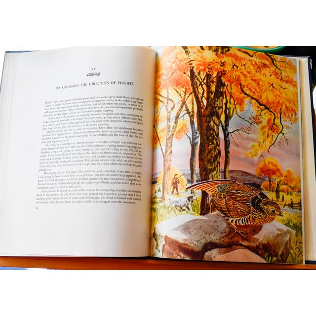 "The Ruffed Grouse" — Henry Marion Hall — First Edition 1946 — Oxford University Press — Illustrated by Ralph Ray For Sale - Image 14 of 14