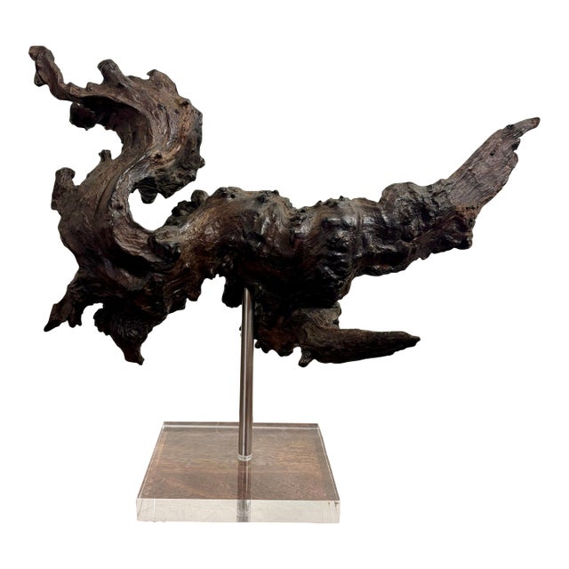 Vintage Natural Burl Wood Abstract Dragon Sculpture on Lucite Base, Coastal Modern For Sale