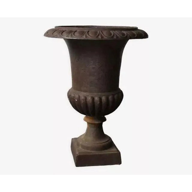 Brown Cast Iron Urn Planter Campana, France For Sale - Image 8 of 8