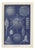 Richard Lydekker, Radiolarians, 1896, Color Process Print For Sale