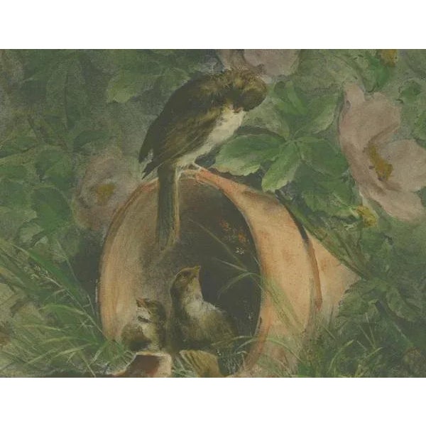 Hector Giacomelli, Nestled Sparrows in a Broken Flower Pot, 1891, Paper For Sale - Image 4 of 7