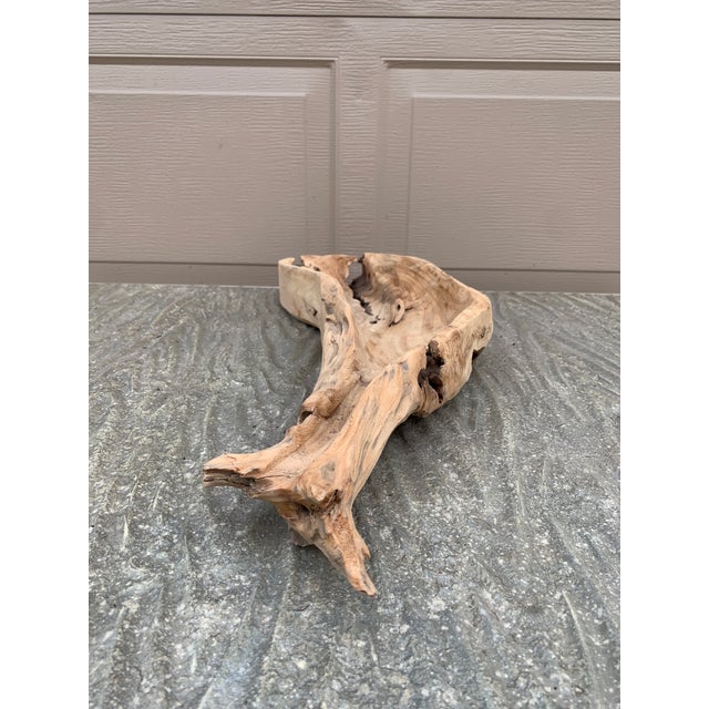 Wood Vintage Folk Art Hand Carved Driftwood Whale Serving Tray For Sale - Image 7 of 10