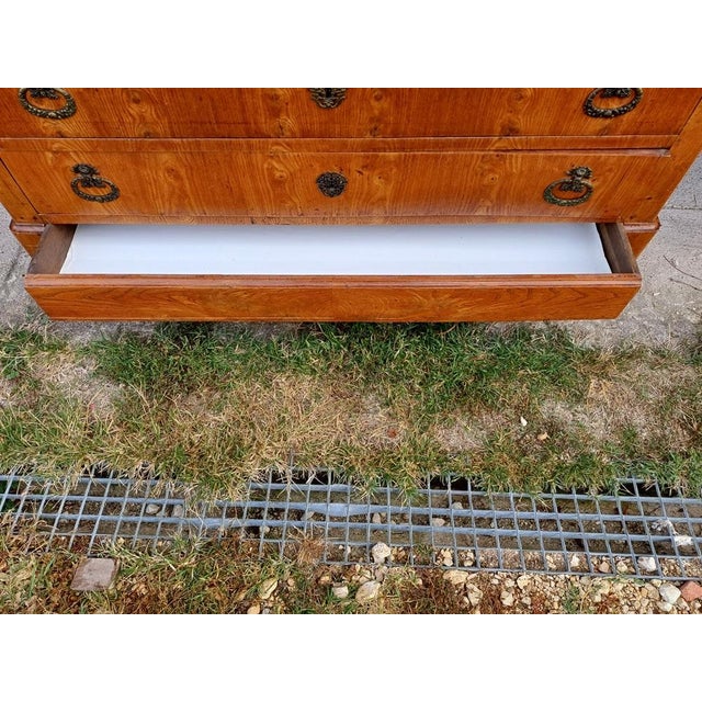 19th Century Glass-Topped Chest of Drawers For Sale - Image 9 of 13